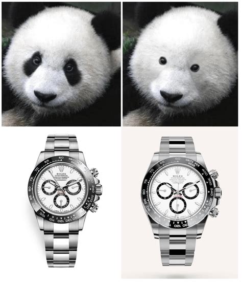 panda maske von den lied rolex|Rolex daytona panda guide.